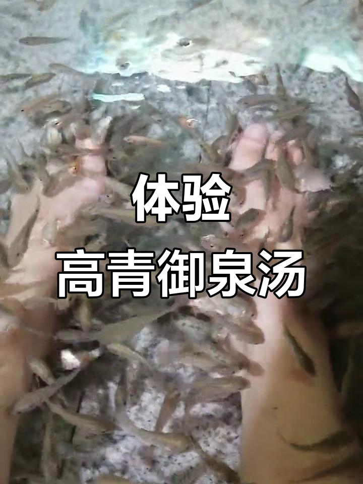 高青御泉汤温泉鱼疗，放松心情的绝佳选择