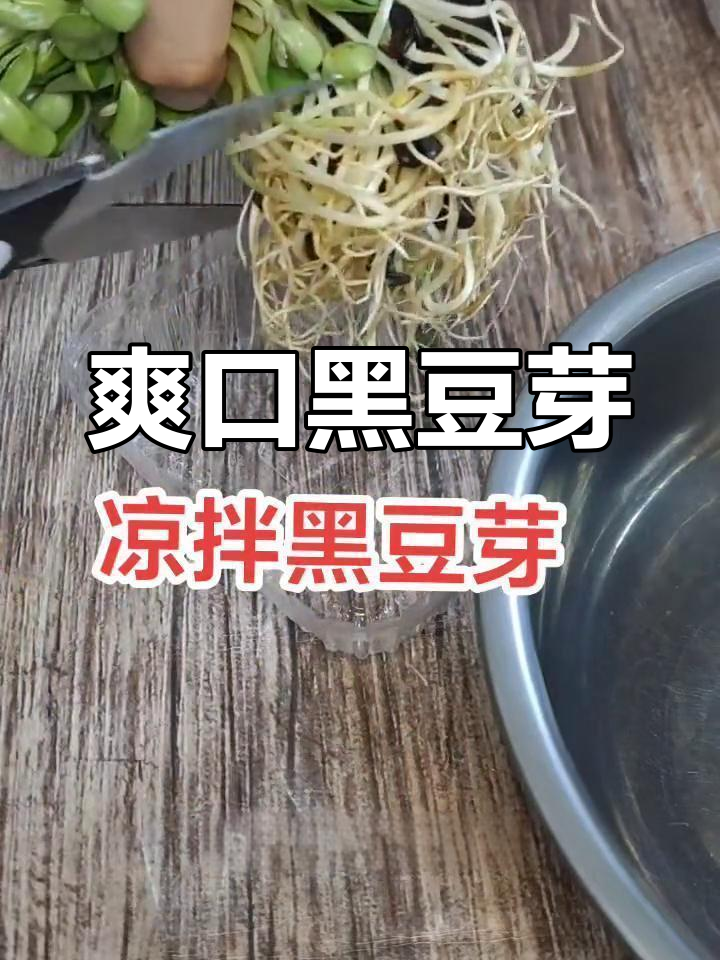 黑豆芽拌豆腐皮,清爽美味做法