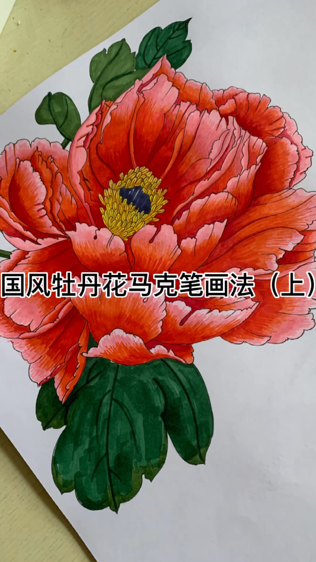 中国风牡丹花马克笔画法