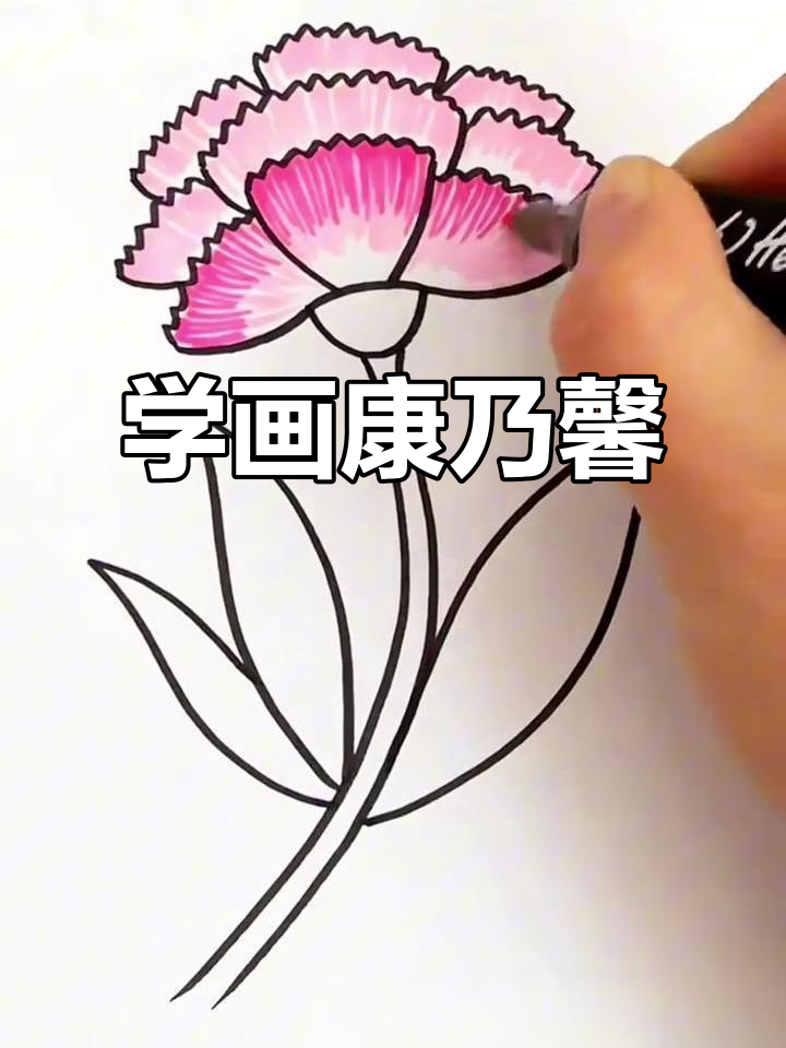 康乃馨简笔画,轻松学会!