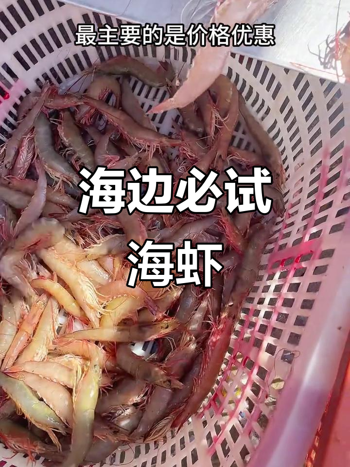 鲜嫩无比的海虾,海边人极力推荐!麻虾与沙卢虾的完美口感