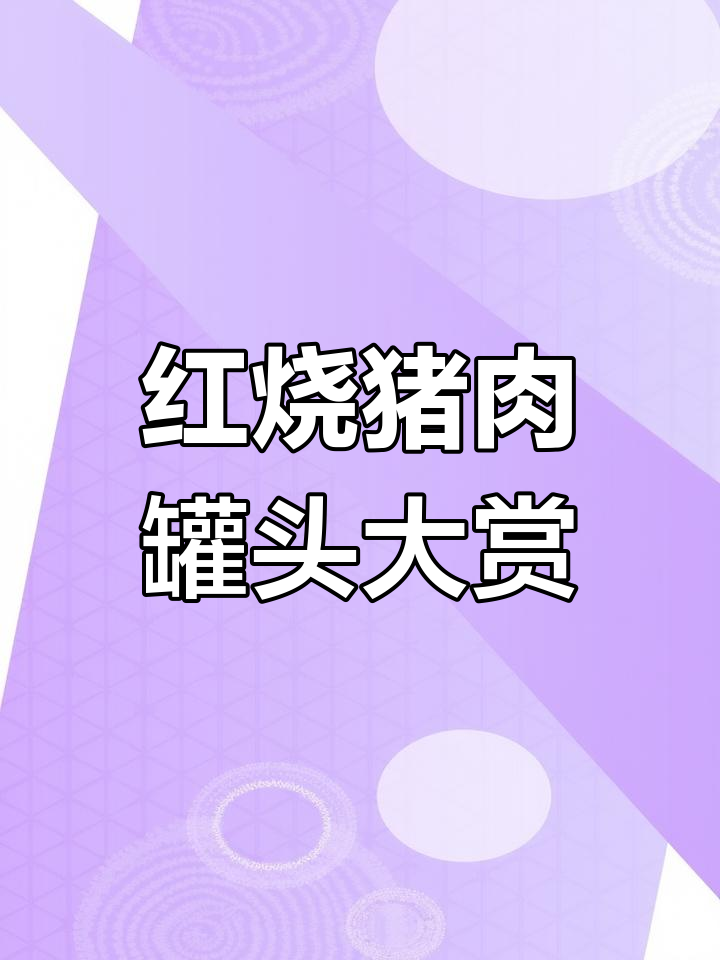 经典红烧猪肉罐头,传承40年美味
