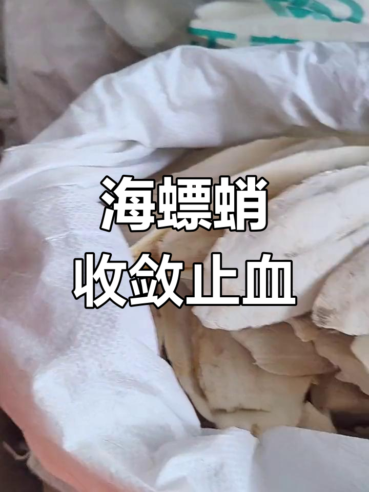 海漂硝:墨鱼骨的神奇止血与收湿效果