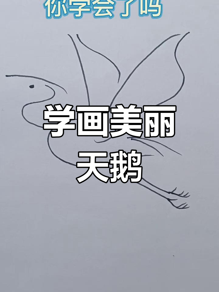 简单步骤教你画可爱天鹅,亲子互动学画画