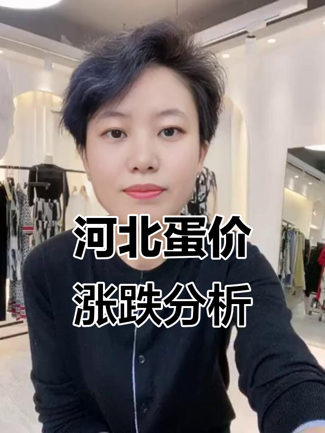 河北蛋价波动，市场行情如何应对？