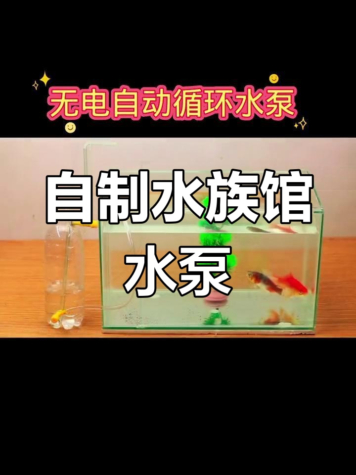 纯手工DIY无电自动循环水泵,养鱼必备小工具