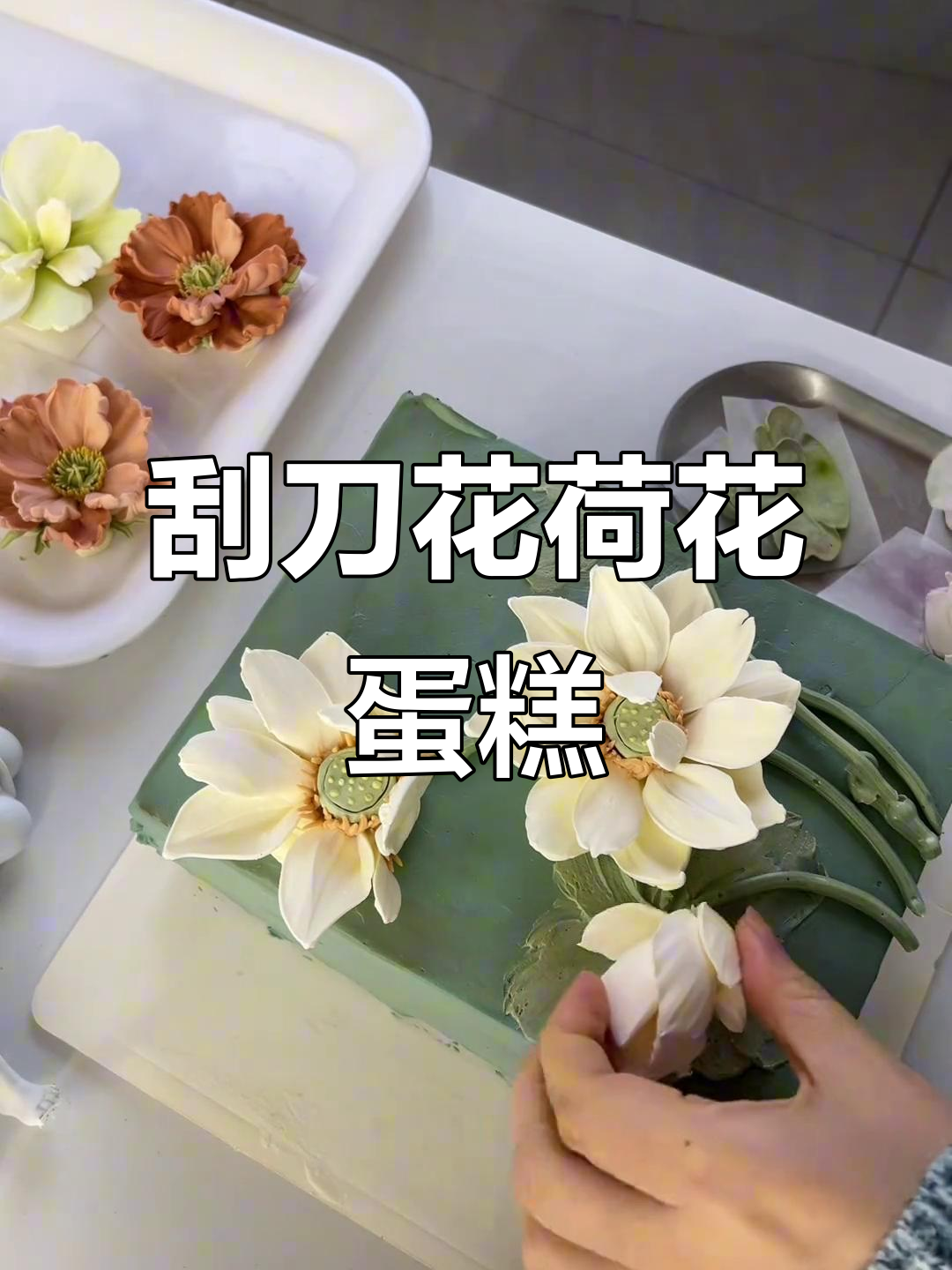 刮刀花蛋糕艺术,荷花造型轻松搞定