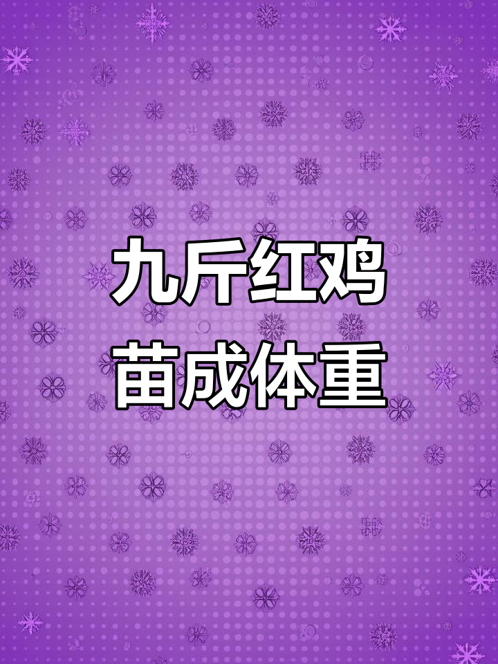 山东泰安九斤红鸡苗最大能长到多少?成年公鸡体重揭秘