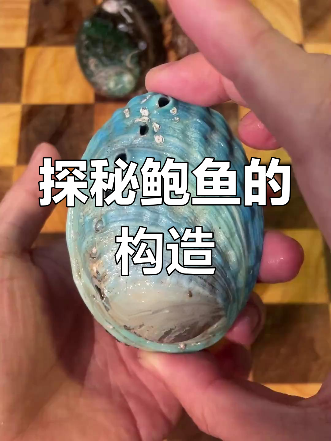 鲍鱼内部大揭秘:从清洗到烹饪的完整步骤