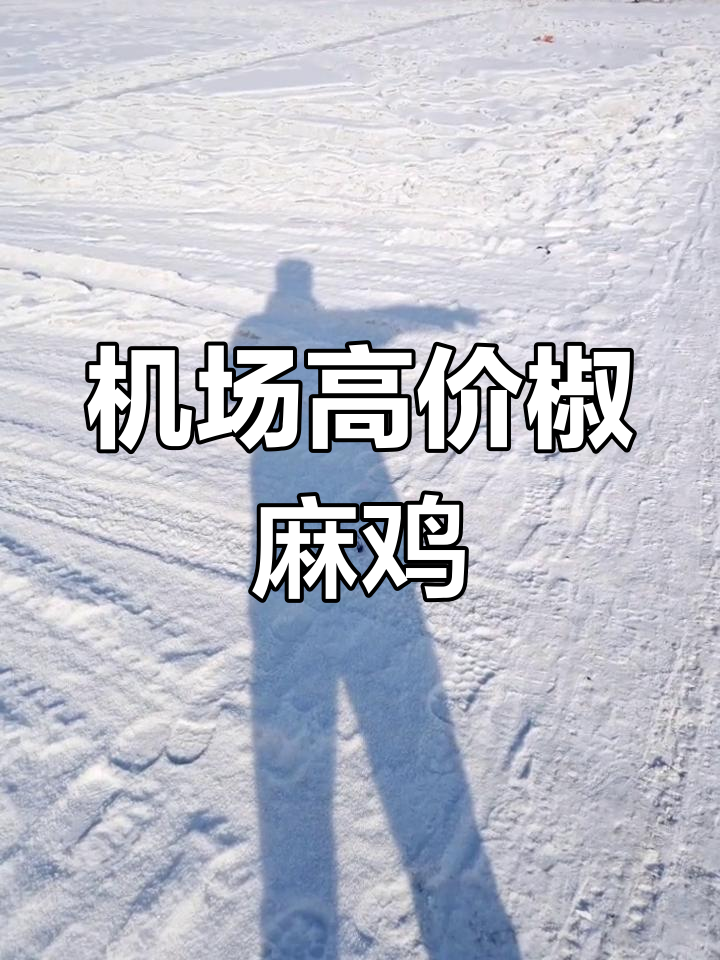 11天旅程结束,机场椒麻鸡价格翻倍,真是冤大头!