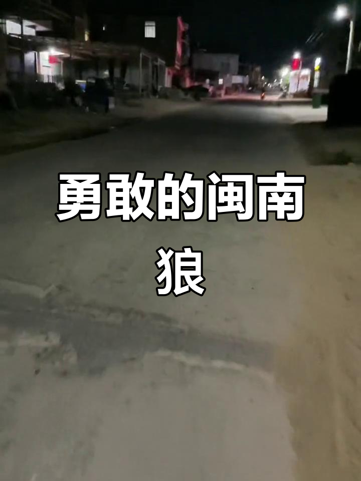 闽南狼精神,深夜踩车买四果汤,困难面前永不退缩