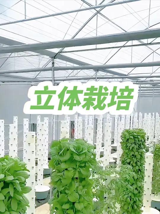 智能温室立体蔬菜种植工厂