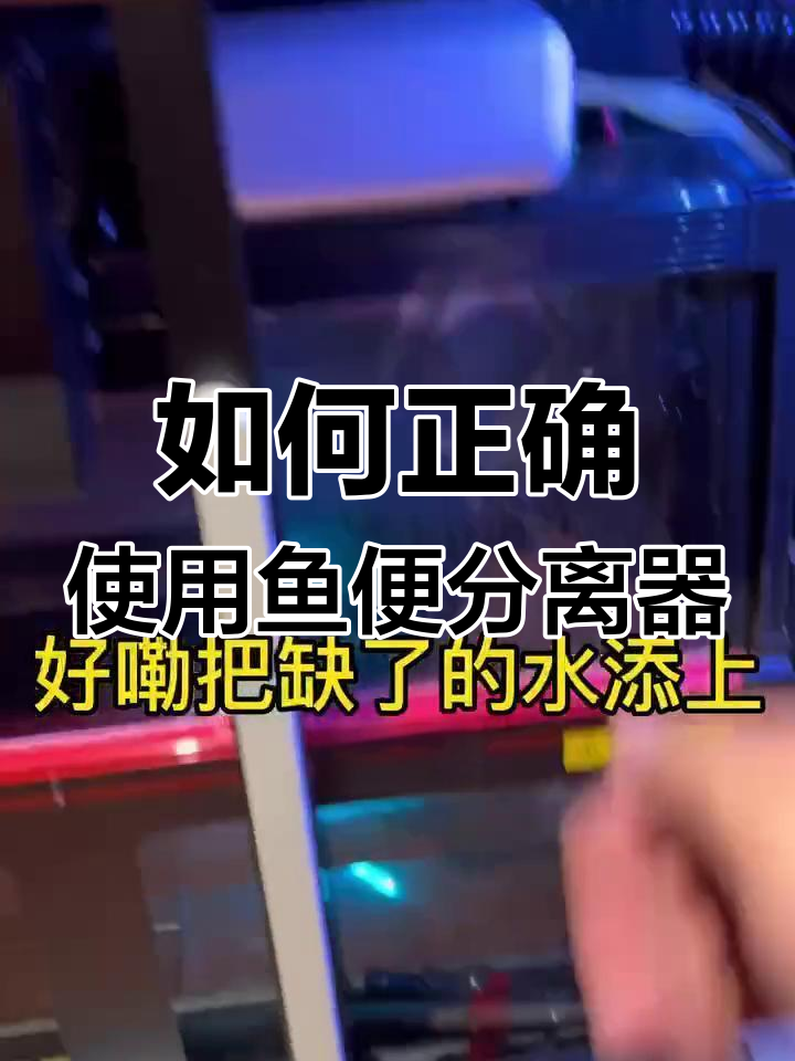 鱼便分离器使用指南,避免反冲洗问题