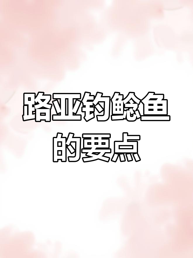 鲶鱼路亚钓鱼技巧与饵料选择