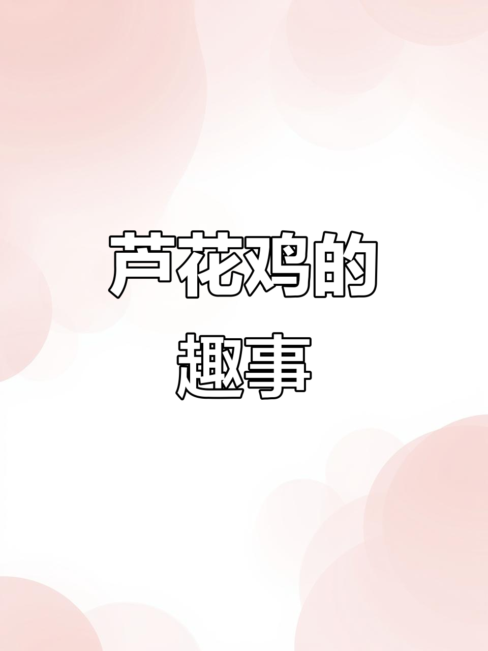 芦花鸡10斤重,35元一斤贵不贵?小孩想牵它逛街真有趣