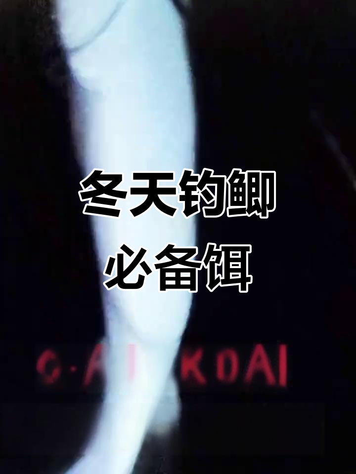 冬季鲫鱼饵料搭配技巧,掌握这些让你爆护