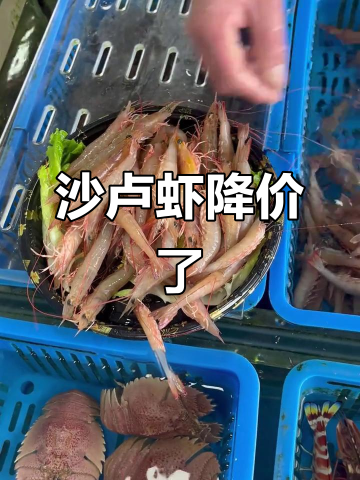 野生沙卢虾价格大降,火锅必备美味来袭