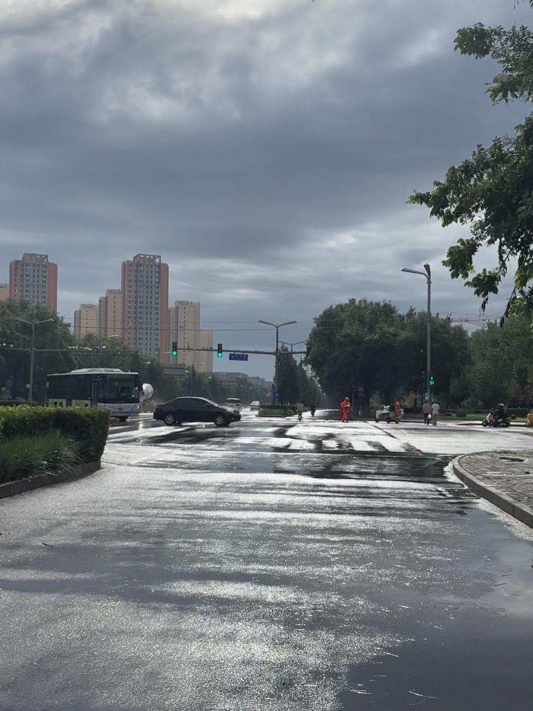 雨后的风裹着青草味扑在脸上,车筐里的早餐袋晃悠悠打着转。柏油路面还泛着湿漉漉的光,倒映着刚