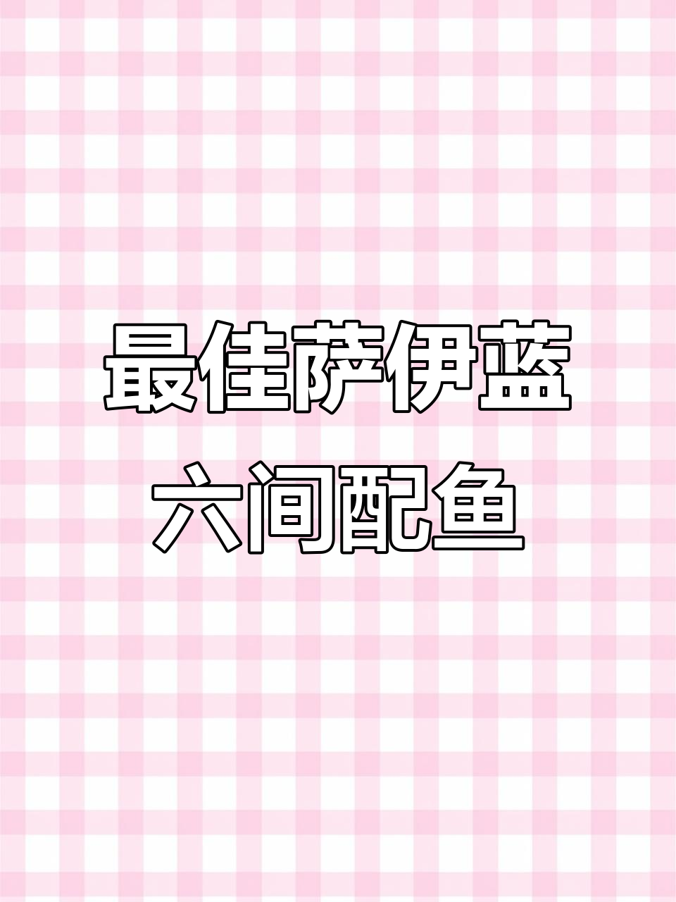 萨伊蓝六间配鱼推荐,温柔不打架