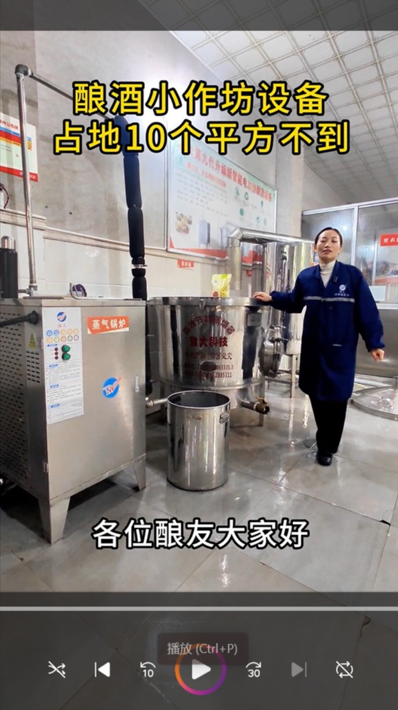 酿酒小作坊选择电加热酿酒设备,占地面积小 操作方便,安全卫生