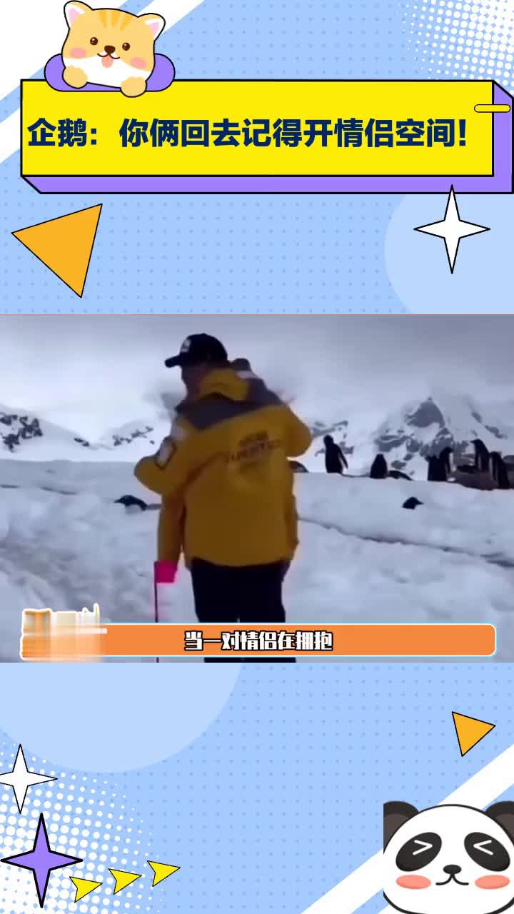 企鹅:你俩回去记得开情侣空间!