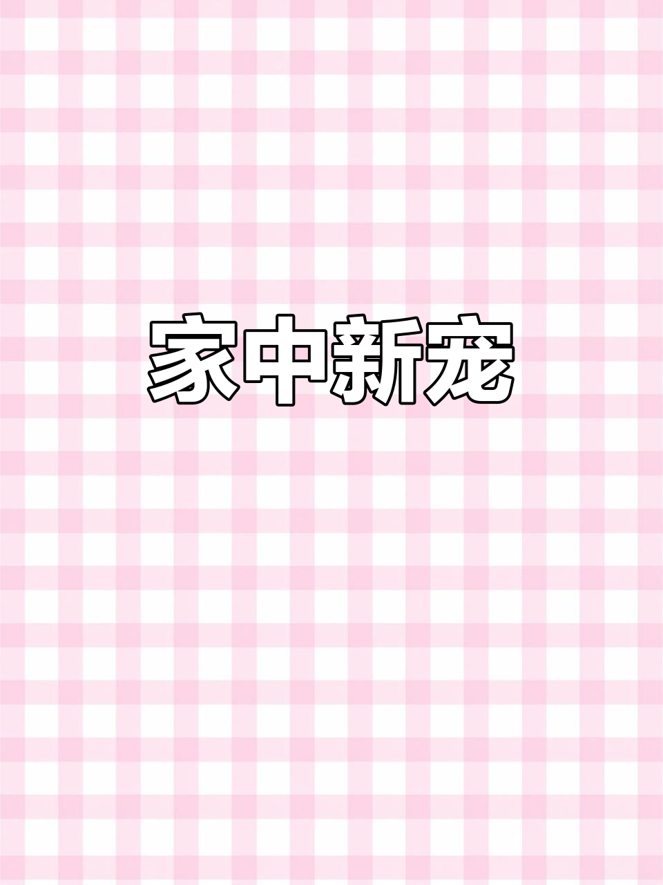 曾被遗弃的小狗,如今成了家中的宝贝,生日蛋糕吃得不亦乐乎
