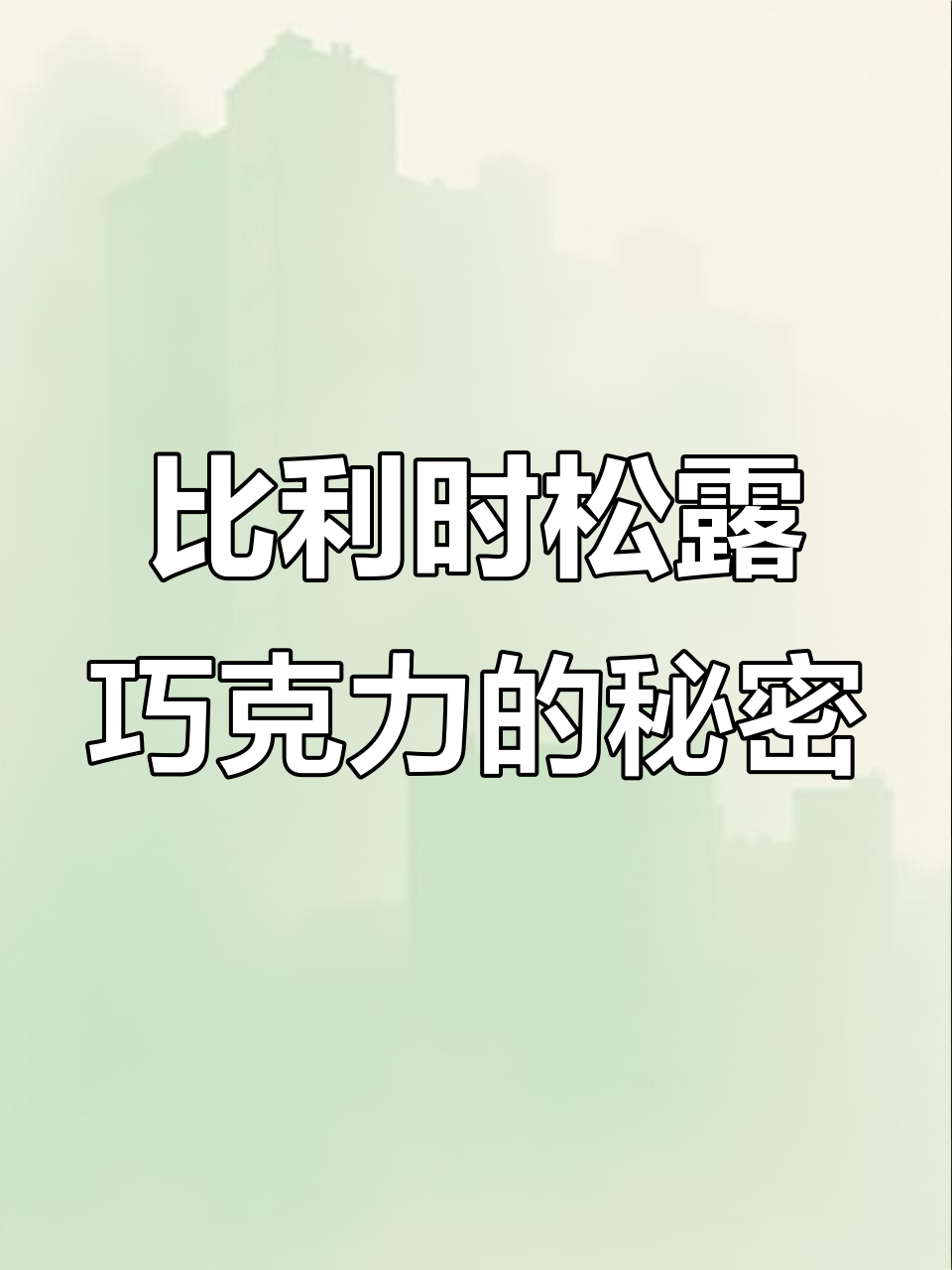 来自比利时的松露巧克力,香浓丝滑又带甜感!