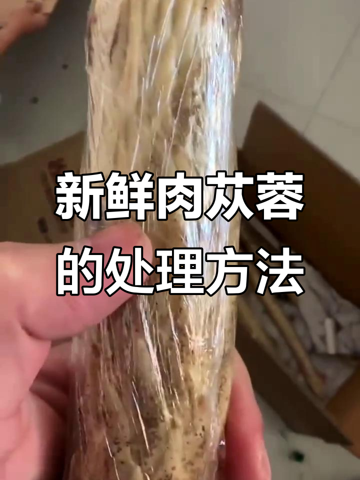 新鲜肉苁蓉揭秘:如何处理鳞片才能食用