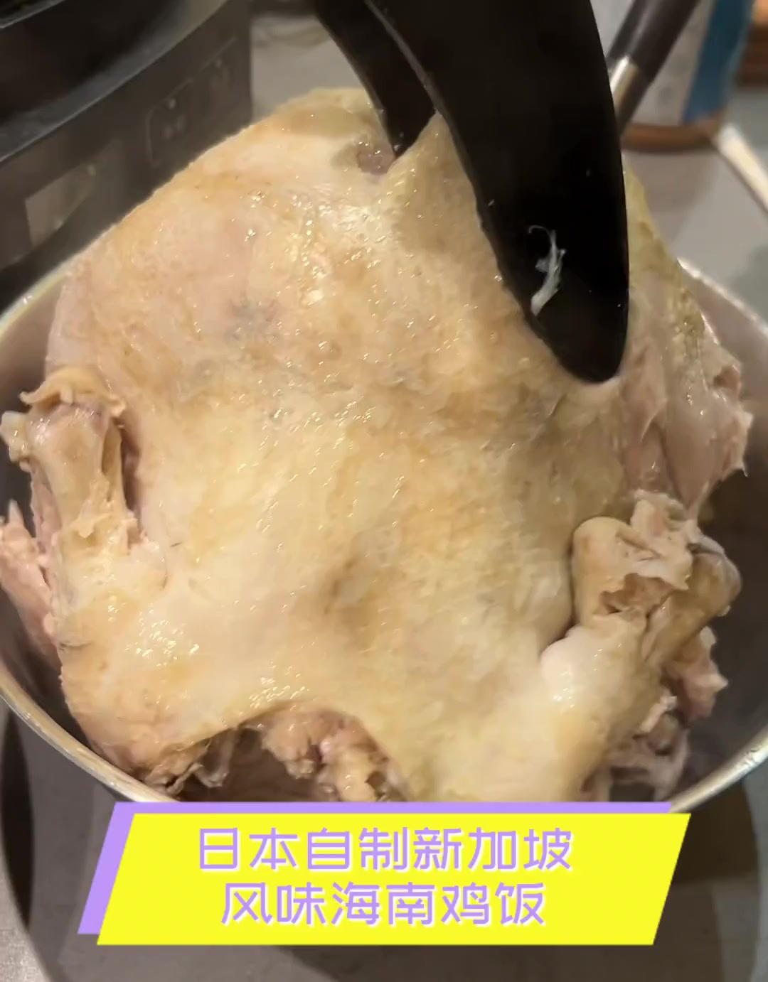 日本自制新加坡,风味海南鸡饭