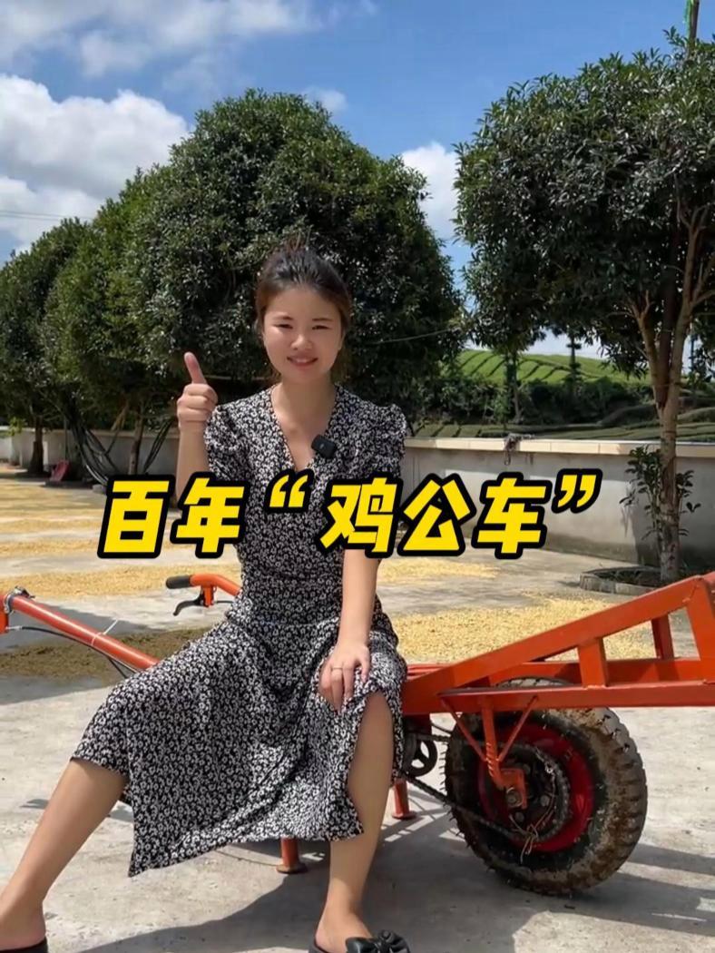 属于劳动人民的忠实爱车“鸡公车” 劳动者是最美的人 农村生活 三农 农忙秋收 我的农村生活