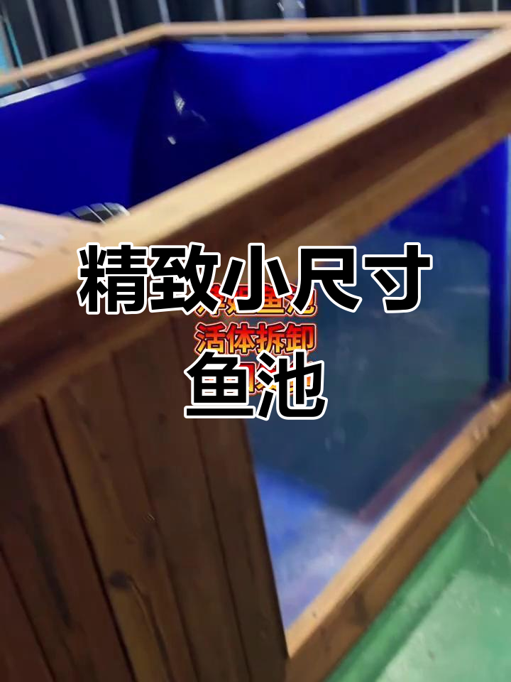 小尺寸鱼池完美设计,阳台客厅都能放!