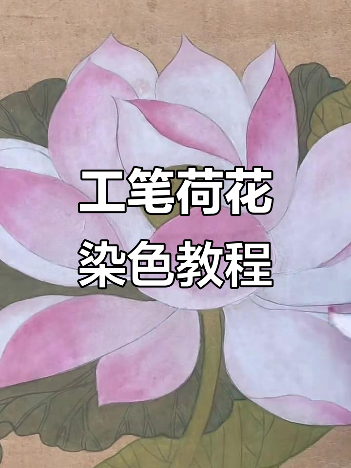 荷花工笔画上色技巧全解析,步骤详解如何打造层次感