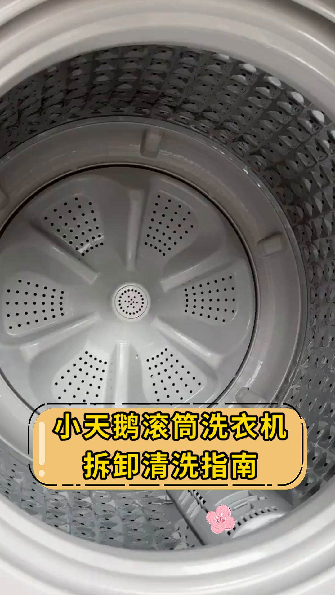 小天鹅滚筒洗衣机拆卸清洗指南