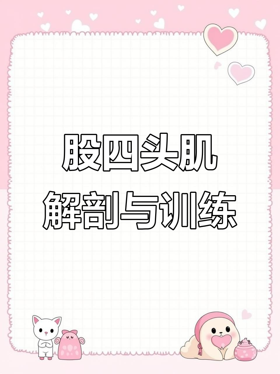 了解股四头肌:大腿前侧的肌肉功能与训练技巧