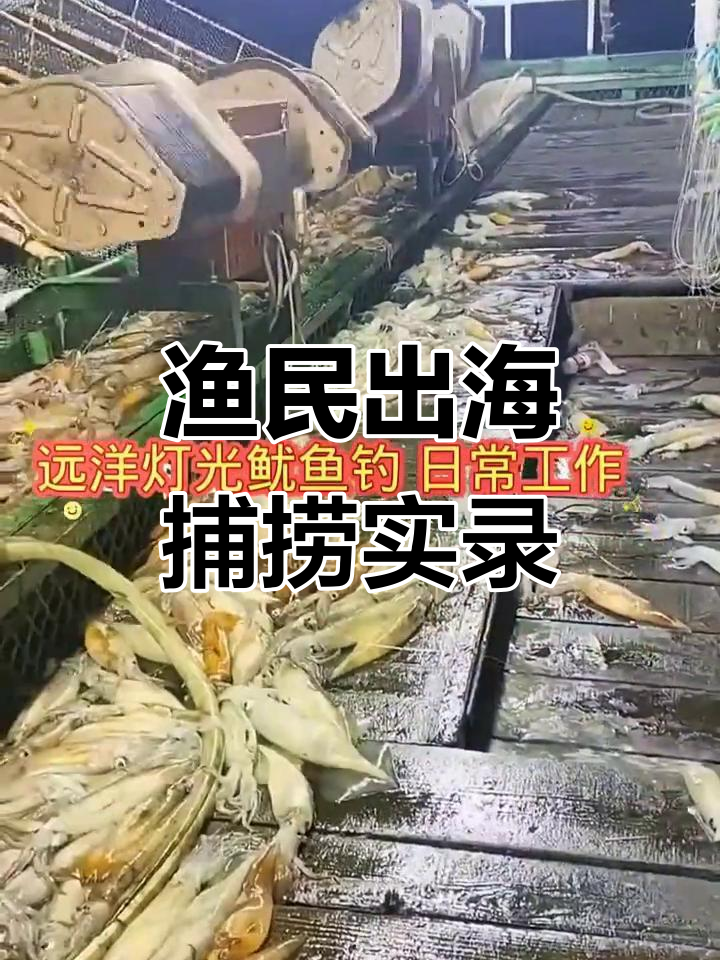 远洋捕捞大揭秘:灯光鱿鱼钓船员日常