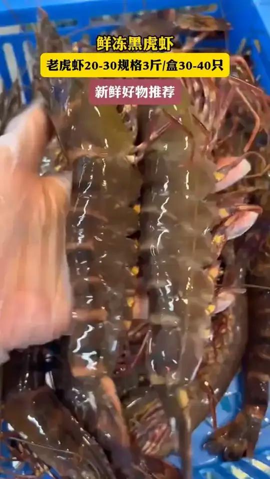 手臂黑虎虾!一天来一只 吃起来爽爆了!