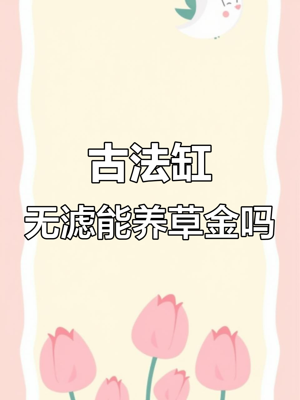 无过滤古法缸能养60条草金？看看它们能否生存