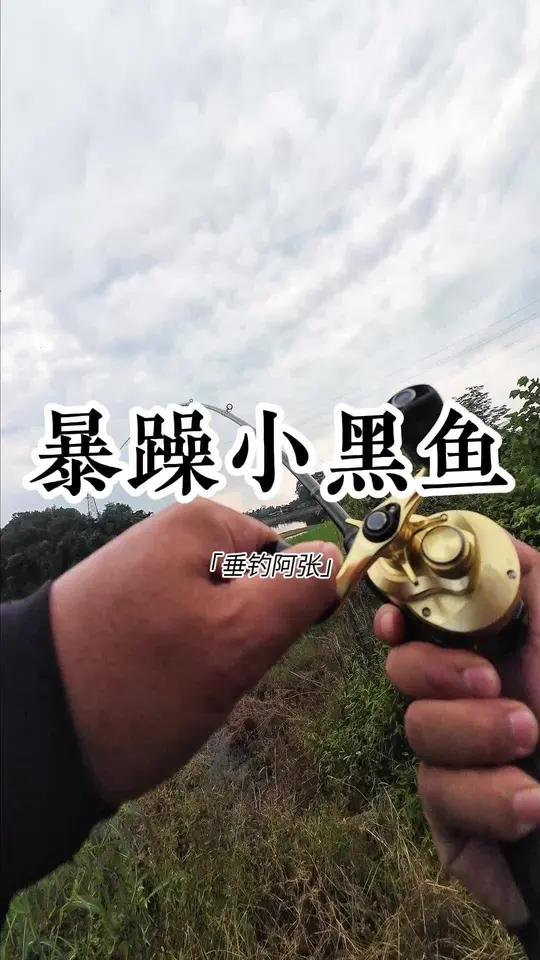黑鱼是淡水鱼种中最刺激的路亚鱼种之一。相信我没错的 路亚路亚黑鱼户外户外钓鱼户外运动