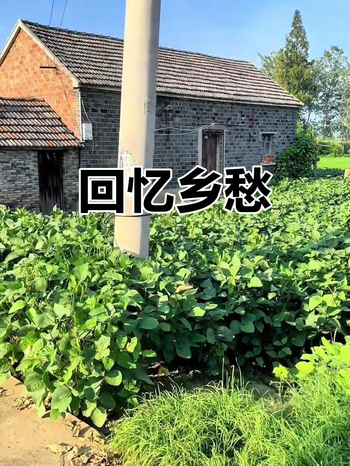 从苏北小屋到中年,他依然怀念那片乡村的温暖