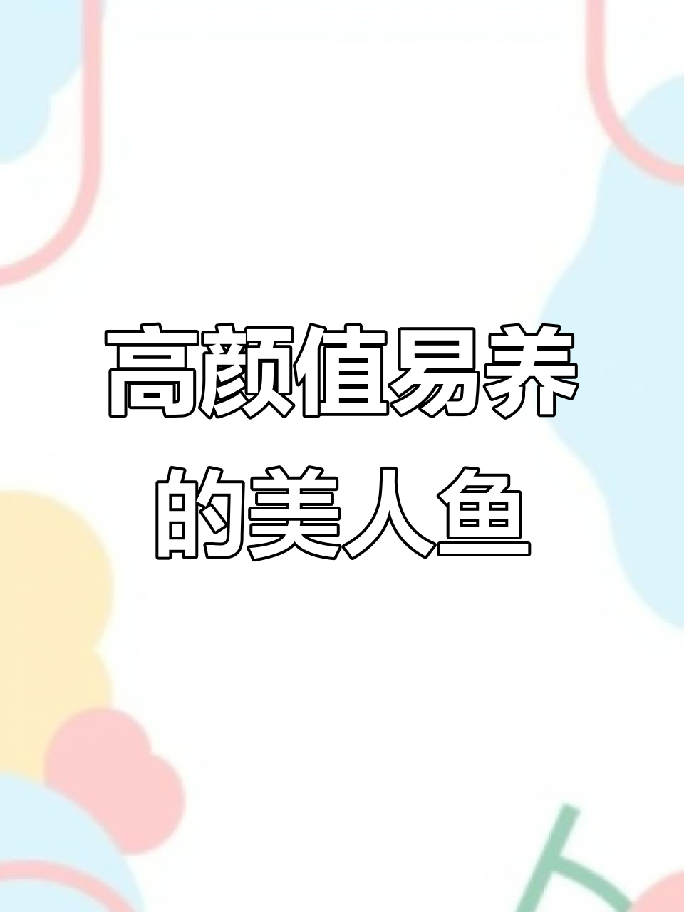 刚果美人鱼:美丽又好养的观赏佳选
