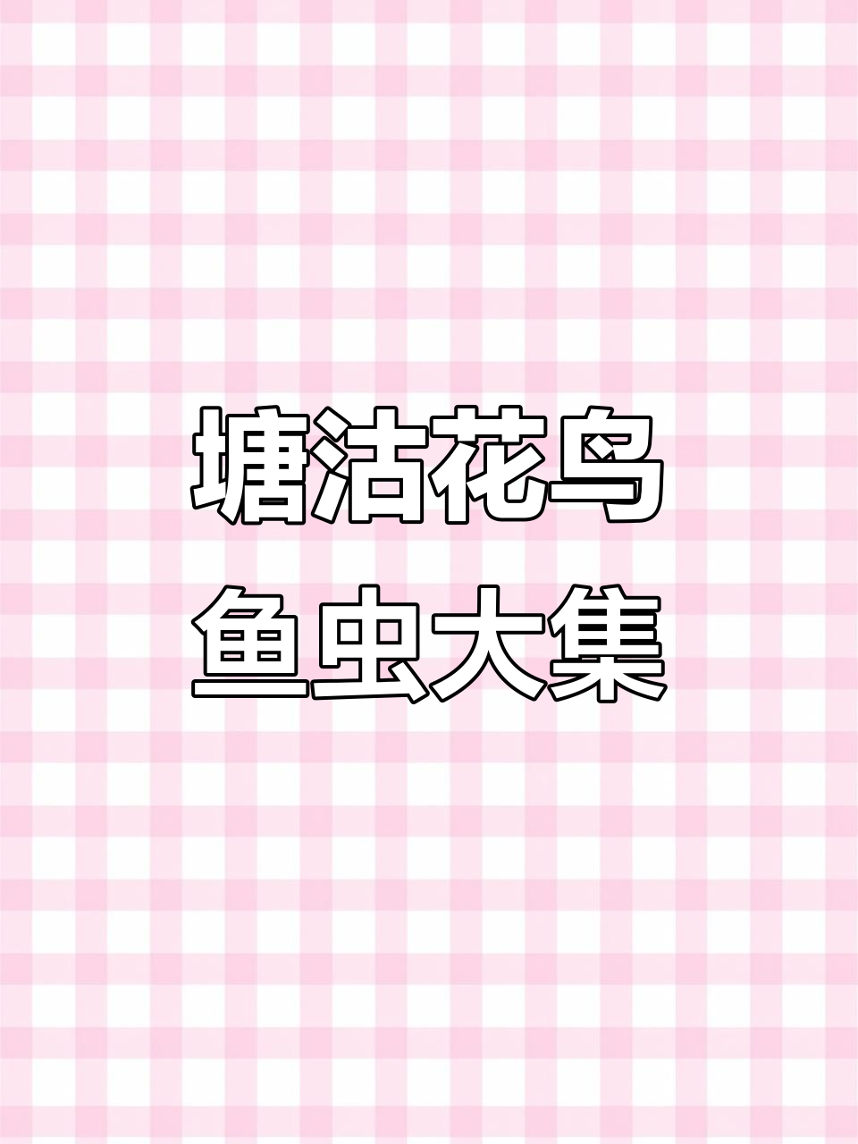 天津塘沽花鸟鱼虫大集:过年必逛的热闹市场