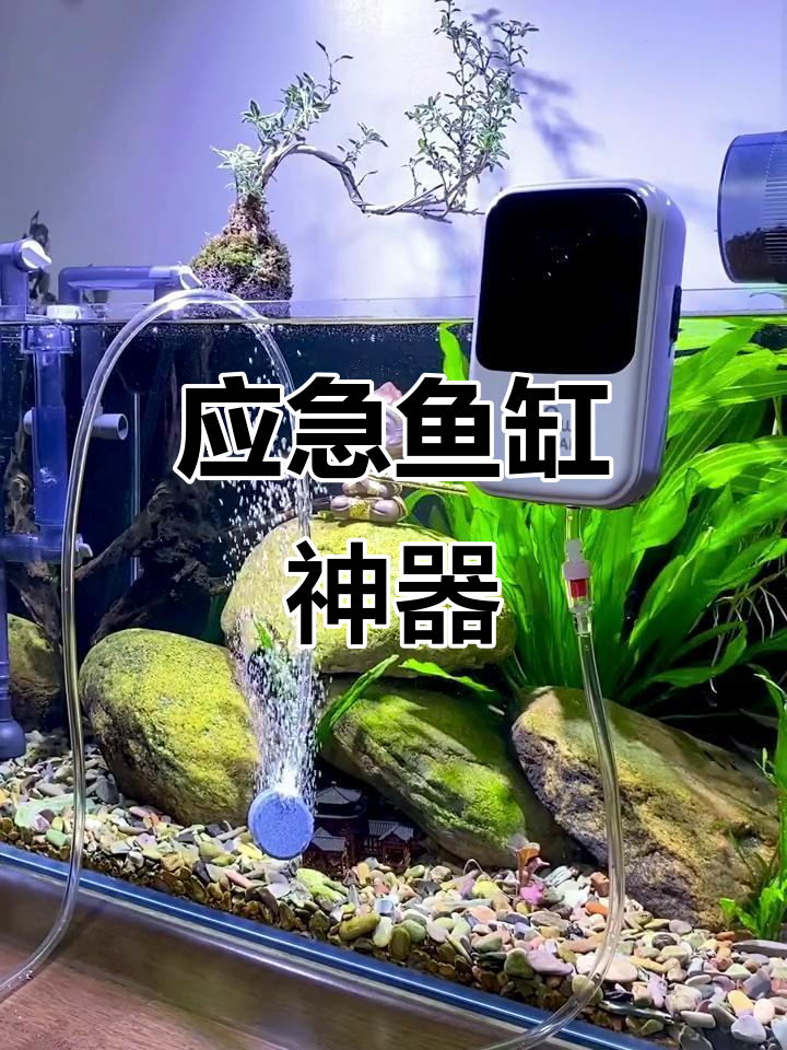 停电时救急,钓鱼或转运鱼必备神器