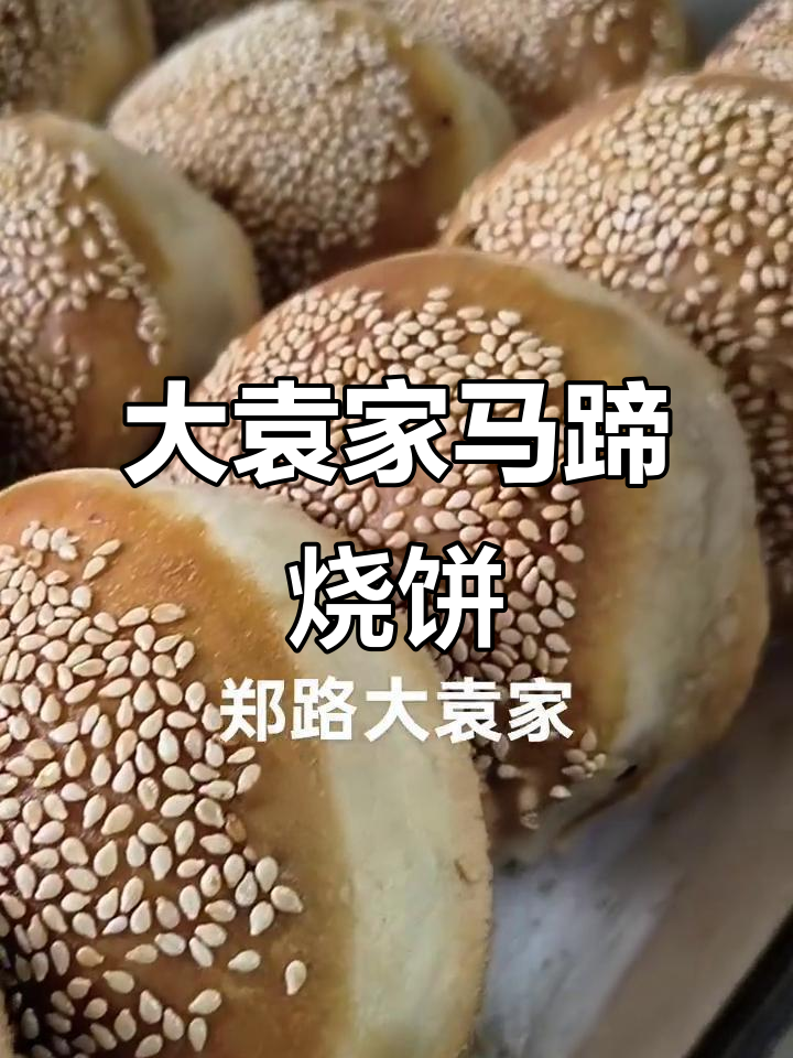 传统大袁家马蹄烧饼,外酥里嫩,皮薄馅足
