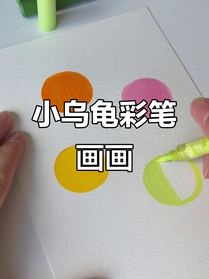 彩色小乌龟简笔画教程，轻松学会画可爱动物