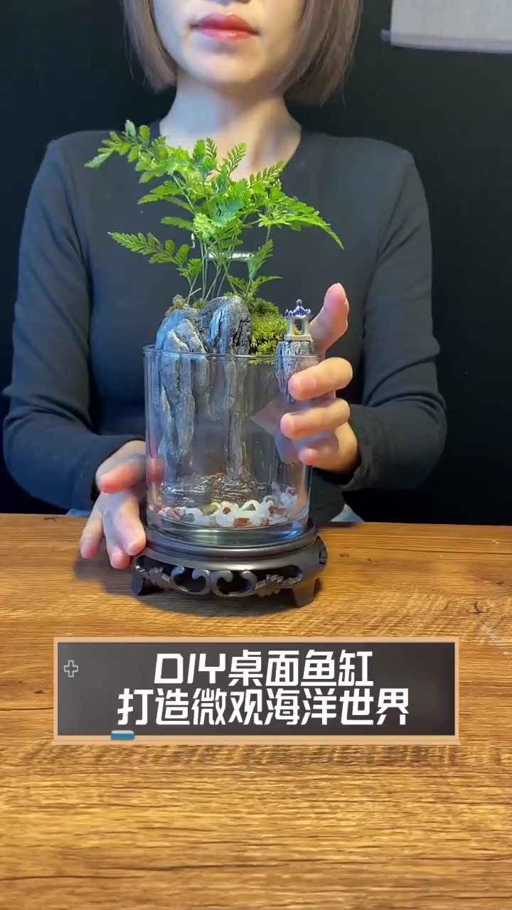 DIY桌面鱼缸,打造微观海洋世界