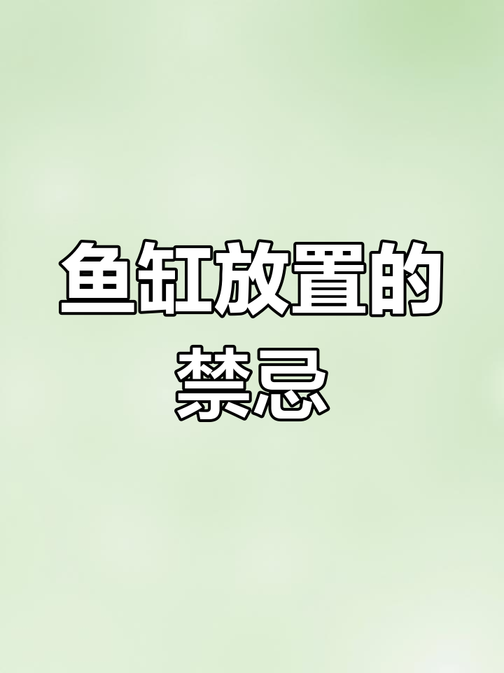 鱼缸摆放有讲究,这些位置不宜放