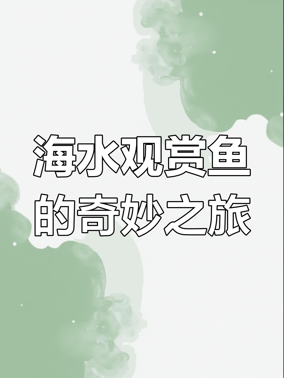 2025年最后一批海水鱼,超萌牛角香豚和刺豚来袭