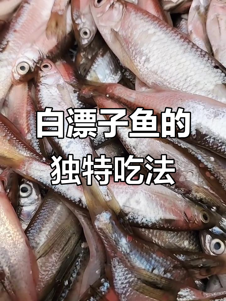 小巧白漂子鱼，酥脆可口，煎炸都美味