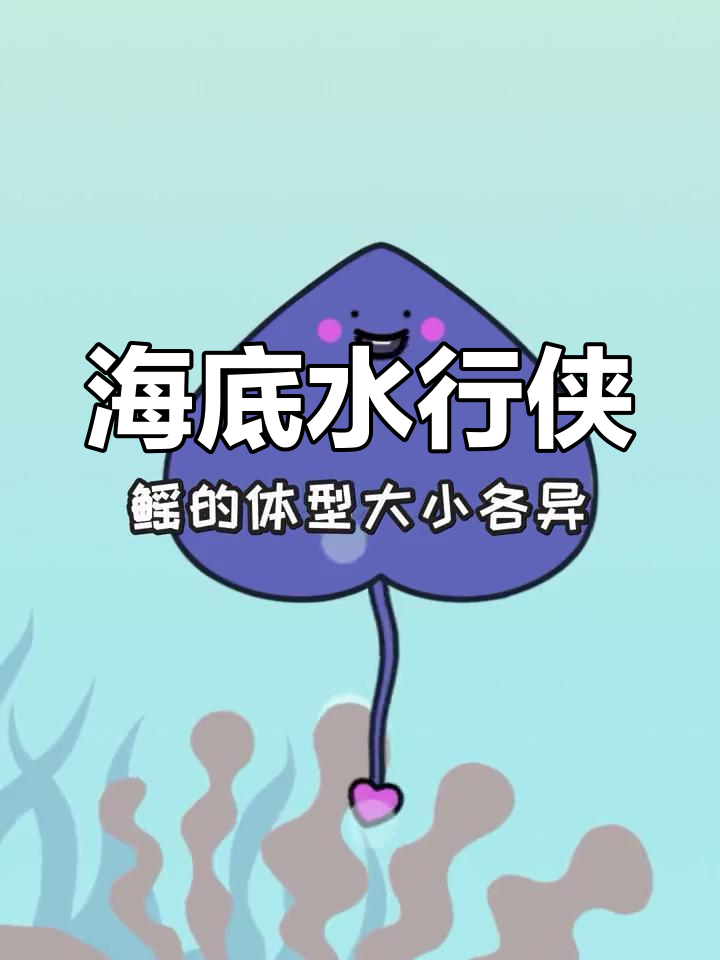 海洋生物揭秘:鳐鱼与瑶语