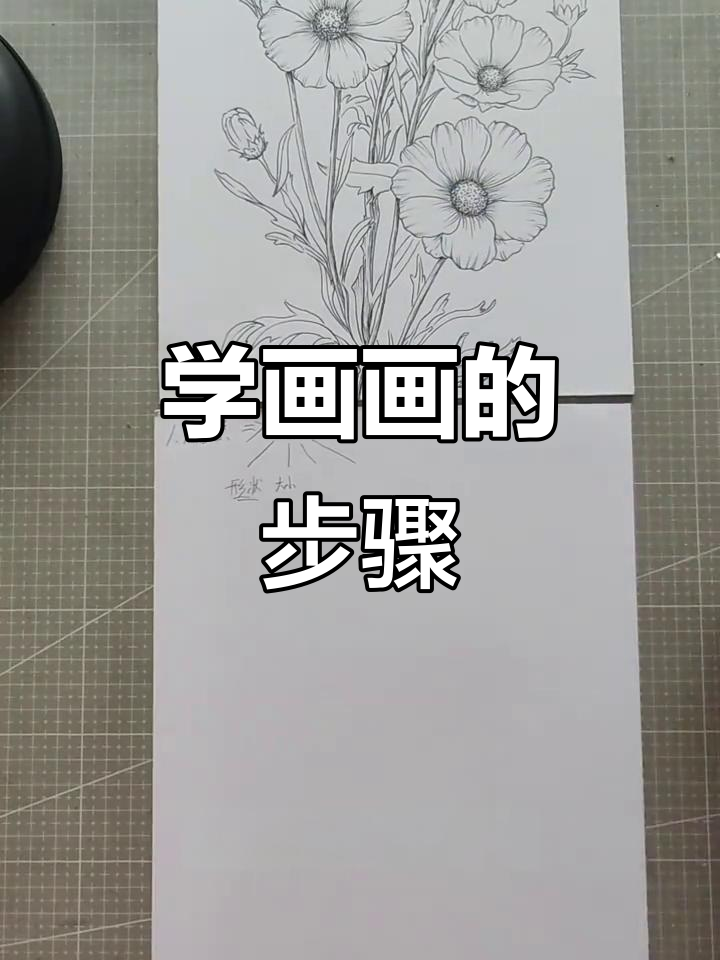零基础学画画:从观察开始,掌握构图技巧